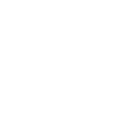 20-year-experience